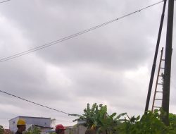 Pohon Tumbang Timpa Kabel, PLN ULP Takalar Bergerak Cepat