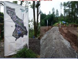 Komersialisasi Kawasan Hutan Pinus Malino Mengkhawatirkan