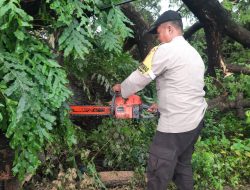 Personel Polsek Bontonompo Bersama Lurah dan Warga Bersihkan Pohon Tumbang di Jalan Poros