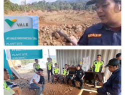 Tambang Di Sebaseba Labrak Aturan..! Pemprov Sulteng Minta PT. Vale Segera Ganti Rugi.