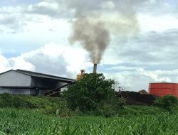 Sungai Kapuas Tercemar: PT. BPG Diduga Abaikan Lingkungan dan Kesehatan Warga