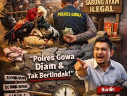 Judi Sabung Ayam di Wilayah Hukum Gowa merajalela: Aktivis desak Kapolres Gowa jangan pasif